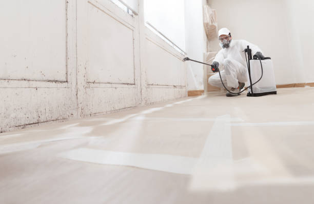 Trusted Commercial Mold Remediation service in Buckley, MI - WQB Mold Removal