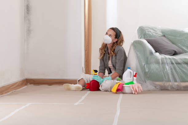 Reliable Commercial Mold Remediation contractor in Buckley, MI by WQB Mold Removal